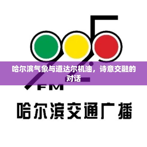 哈尔滨气象与道达尔机油,诗意交融的对话
