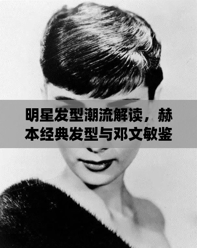 明星发型潮流解读,赫本经典发型与邓文敏鉴鸽技巧的最新探讨
