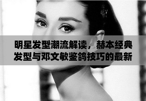 明星发型潮流解读,赫本经典发型与邓文敏鉴鸽技巧的最新探讨