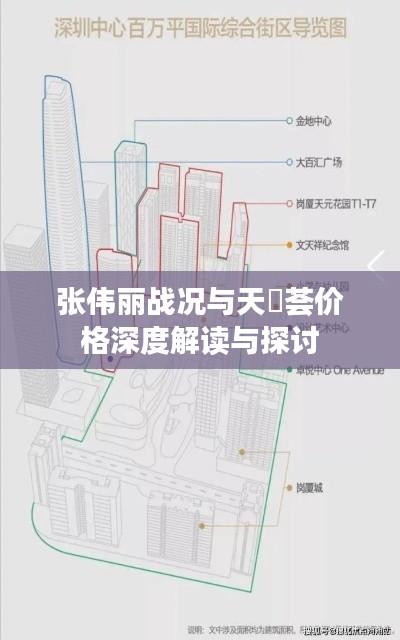 张伟丽战况与天璟荟价格深度解读与探讨