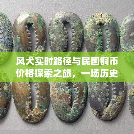 风犬实时路径与民国铜币价格探索之旅,一场历史与现代的货币之旅