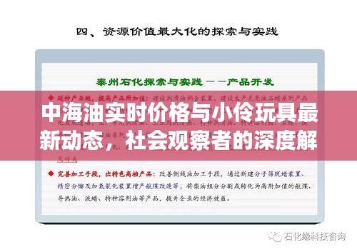 中海油实时价格与小伶玩具最新动态，社会观察者的深度解读