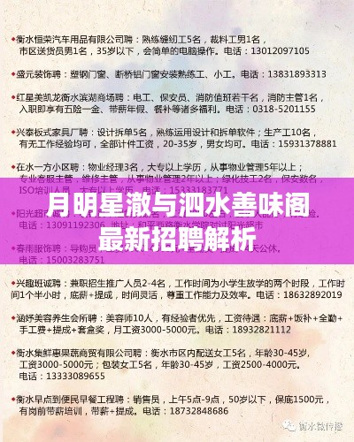 月明星澈与泗水善味阁最新招聘解析