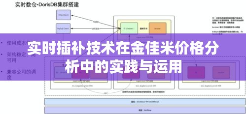 实时插补技术在金佳米价格分析中的实践与运用