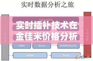 实时插补技术在金佳米价格分析中的实践与运用
