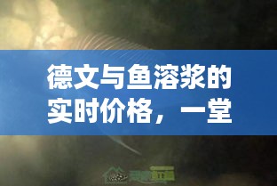 德文与鱼溶浆的实时价格,一堂精彩的课堂探秘