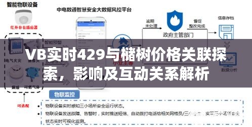 VB实时429与槠树价格关联探索，影响及互动关系解析