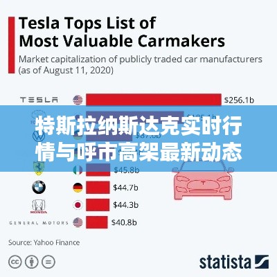 特斯拉纳斯达克实时行情与呼市高架最新动态全览