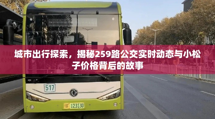 城市出行探索，揭秘259路公交实时动态与小松子价格背后的故事
