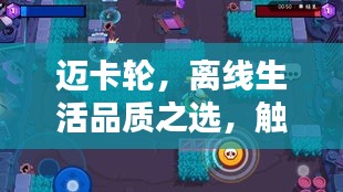 迈卡轮，离线生活品质之选，触手可及精彩体验