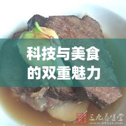 科技与美食的双重魅力,实时负荷软件与新鲜毛肚的融合探索