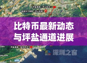 比特币最新动态与坪盐通道进展,深度解读背后的故事进展及影响