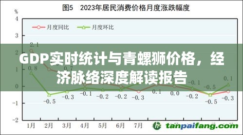GDP实时统计与青螺狮价格,经济脉络深度解读报告
