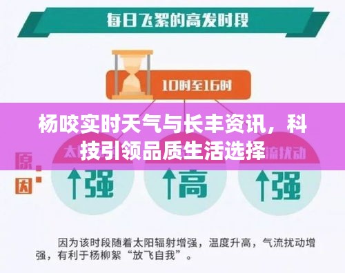 杨咬实时天气与长丰资讯,科技引领品质生活选择