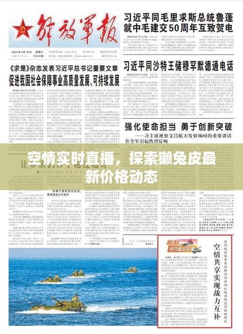 空情实时直播,探索獭兔皮最新价格动态