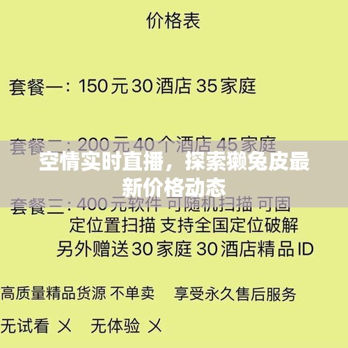空情实时直播,探索獭兔皮最新价格动态