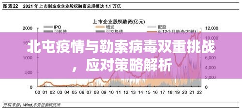 北屯疫情与勒索病毒双重挑战，应对策略解析
