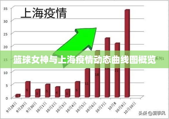 篮球女神与上海疫情动态曲线图概览