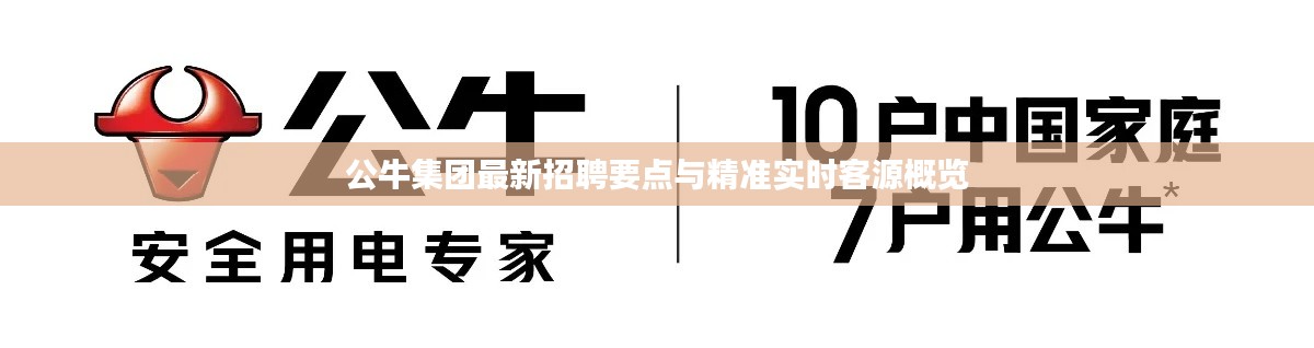 公牛集团最新招聘要点与精准实时客源概览