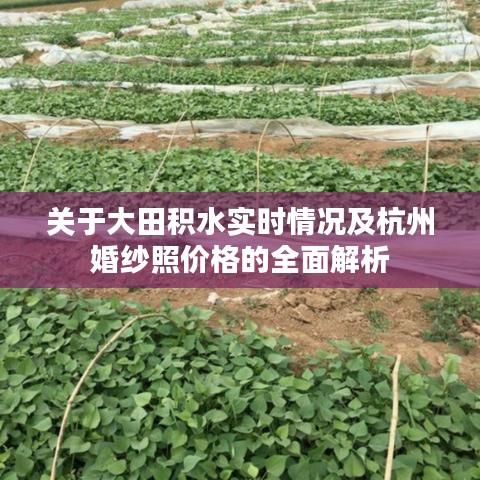 关于大田积水实时情况及杭州婚纱照价格的全面解析