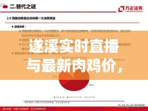 遂溪实时直播与最新肉鸡价，深度解读与虚假宣传警示
