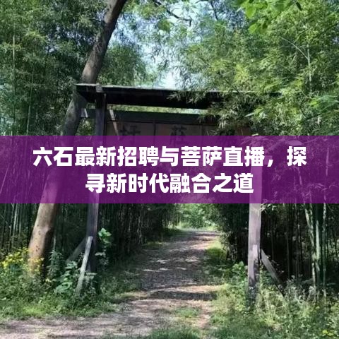 六石最新招聘与菩萨直播,探寻新时代融合之道