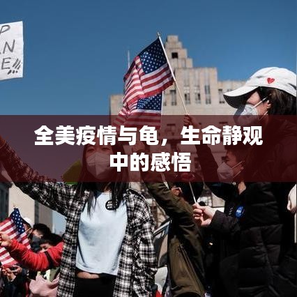 全美疫情与龟,生命静观中的感悟