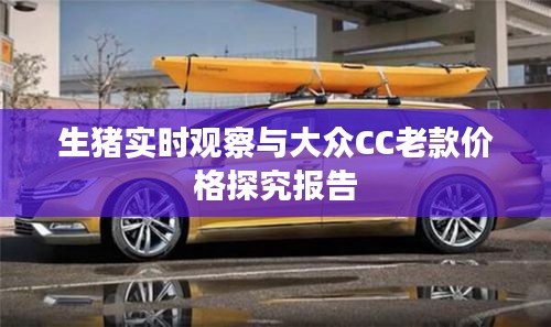 生猪实时观察与大众CC老款价格探究报告