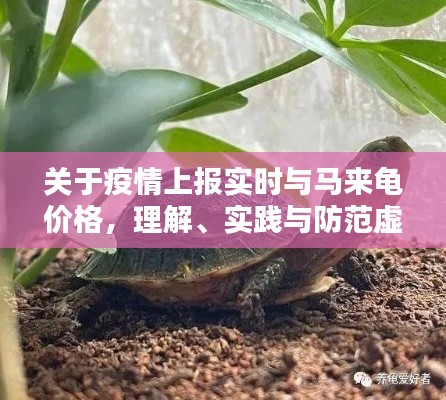 关于疫情上报实时与马来龟价格,理解、实践与防范虚假宣传