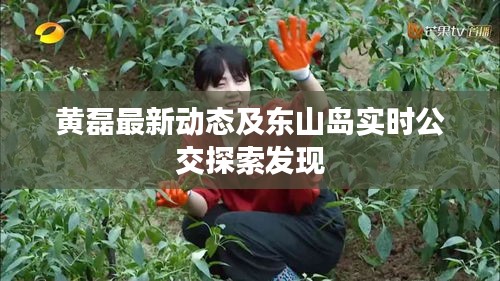黄磊最新动态及东山岛实时公交探索发现