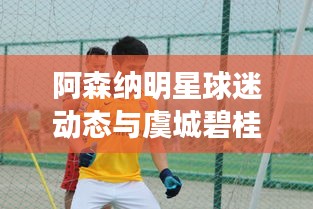 阿森纳明星球迷动态与虞城碧桂园房价走势