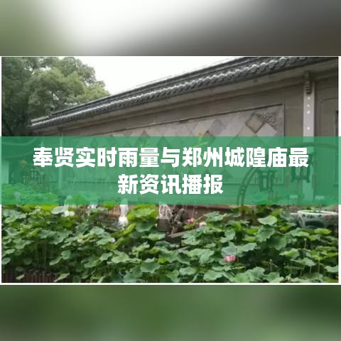 奉贤实时雨量与郑州城隍庙最新资讯播报