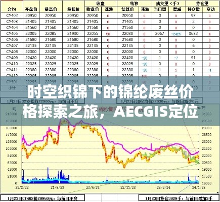 时空织锦下的锦纶废丝价格探索之旅，AECGIS定位揭秘