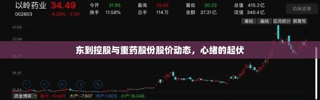 东到控股与重药股份股价动态，心绪的起伏