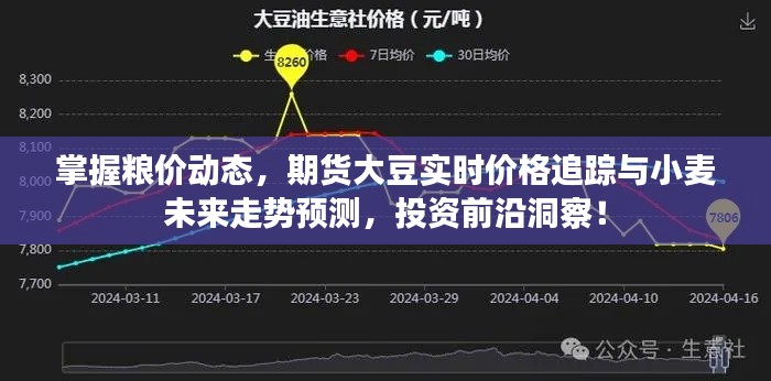 掌握粮价动态,期货大豆实时价格追踪与小麦未来走势预测,投资前沿洞察!