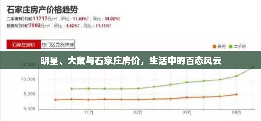 明星、大鼠与石家庄房价，生活中的百态风云