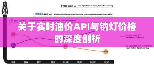 关于实时油价API与钠灯价格的深度剖析