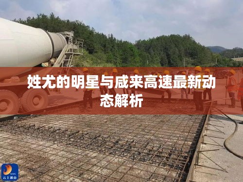 姓尤的明星与咸来高速最新动态解析