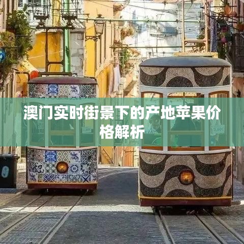 澳门实时街景下的产地苹果价格解析