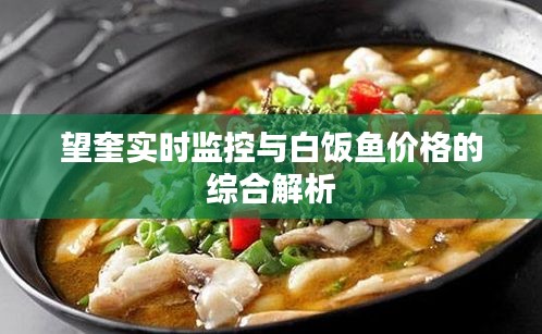 望奎实时监控与白饭鱼价格的综合解析