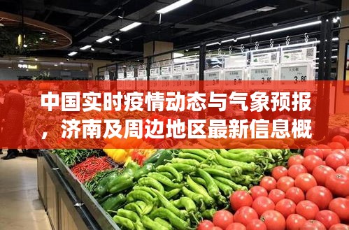 中国实时疫情动态与气象预报,济南及周边地区最新信息概览