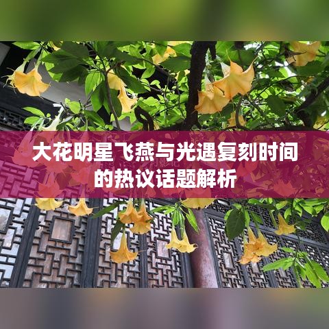 大花明星飞燕与光遇复刻时间的热议话题解析
