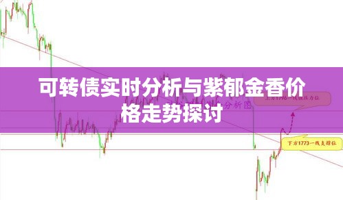 可转债实时分析与紫郁金香价格走势探讨