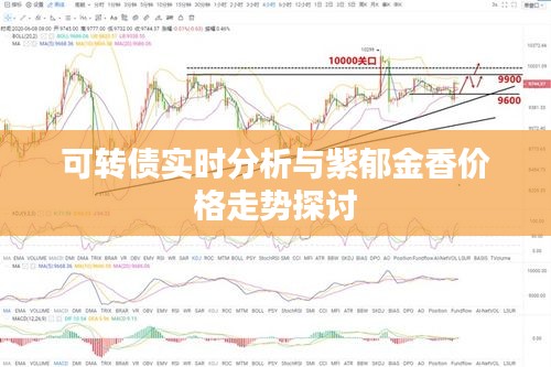 可转债实时分析与紫郁金香价格走势探讨
