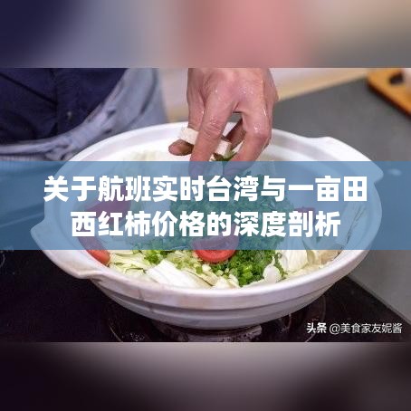 关于航班实时台湾与一亩田西红柿价格的深度剖析