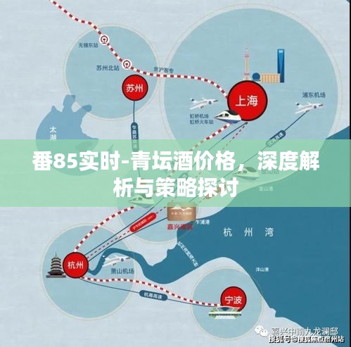 番85实时-青坛酒价格，深度解析与策略探讨