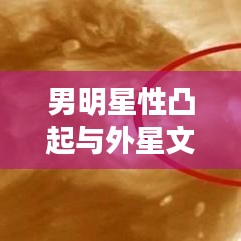 男明星性凸起与外星文明，跨界话题下的探索与洞察