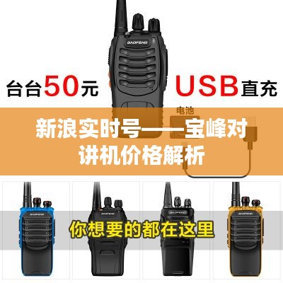 新浪实时号——宝峰对讲机价格解析