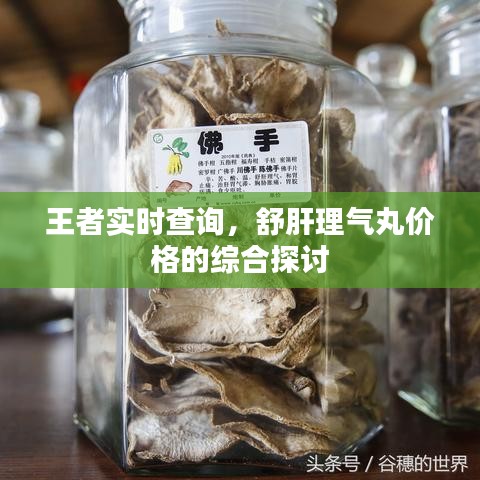 王者实时查询，舒肝理气丸价格的综合探讨