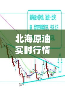 北海原油实时行情与蔡甸门面出租最新资讯